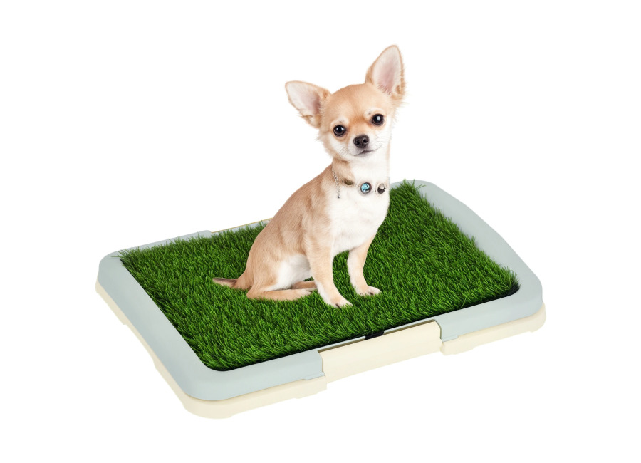 Inodoro PawHut para perros con bandeja, alfombra de césped artificial y letrero, alfombra de entrenamiento para…