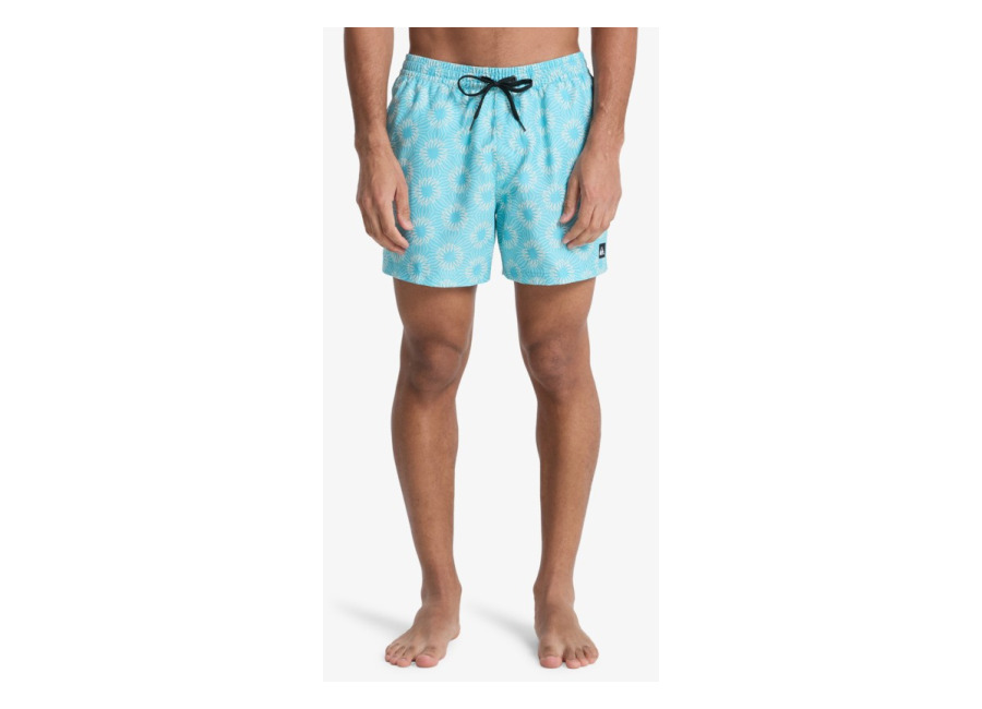 Quiksilver – Everyday Printed Volley 15″ – Short de Natación Azul Hombre