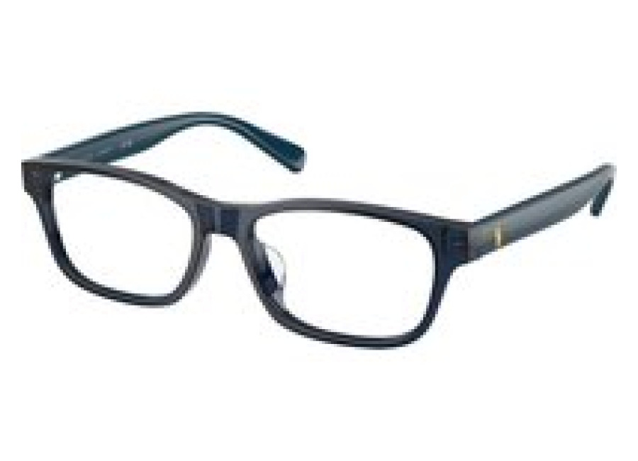Polo Ralph Lauren Hombre Polo Ralph Lauren 5465 Monturas ópticas Acetato Azul Transparente Pillow Norma