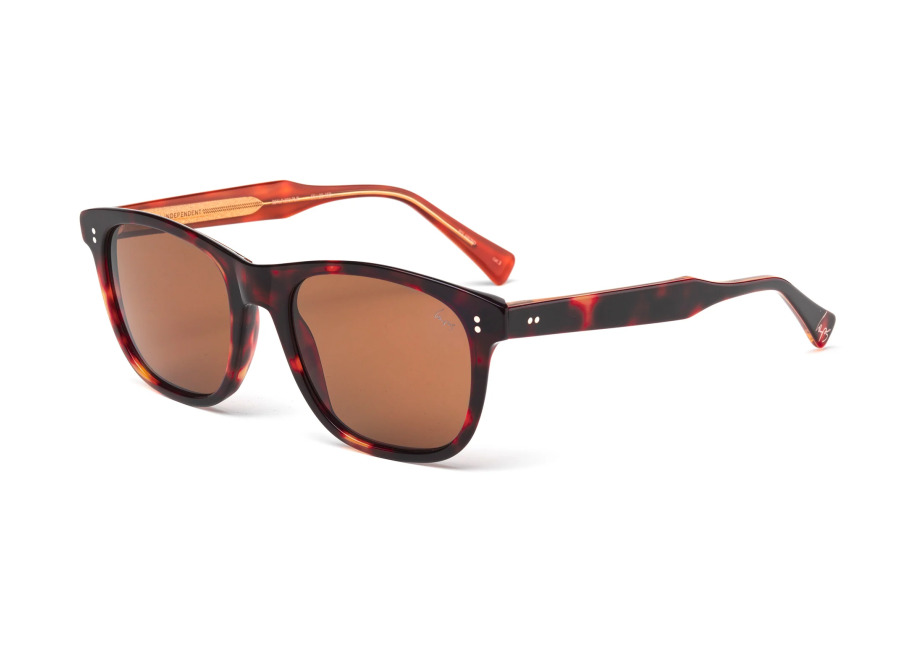 Laps Collection Hombre CARLO 021LP 092.PLR Gafas de sol outlet Acetato la Habana Marrón Cuadrada Antirreflejo