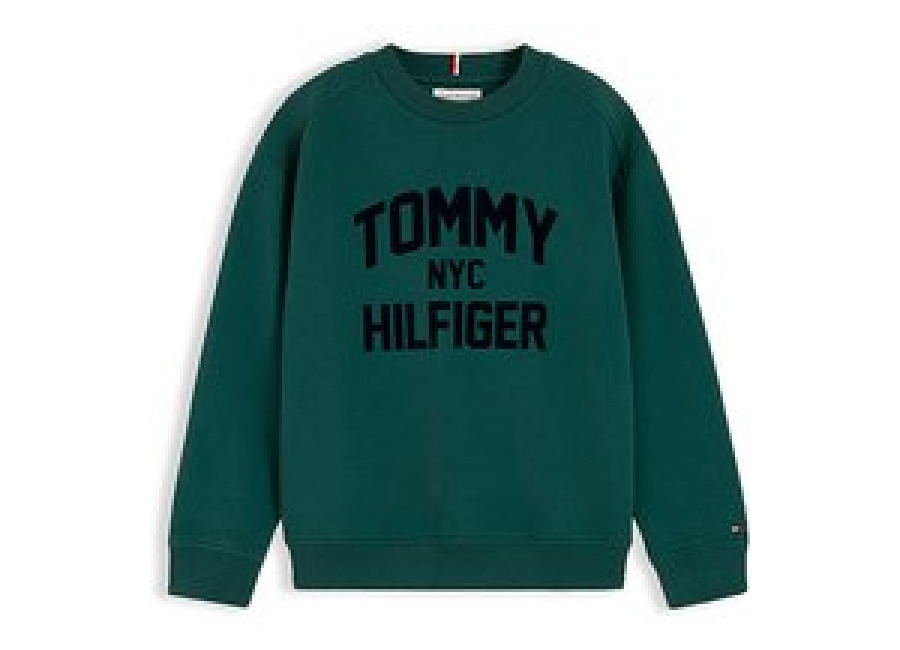 TOMMY HILFIGER Suéter para niño verde oscuro
