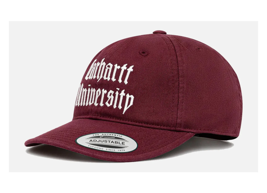 carhartt w.i.p. schooling cap i035629.3dv.xx /t