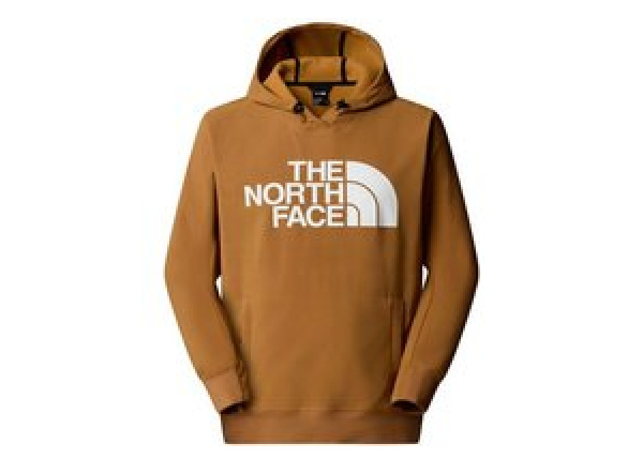 Sudadera The north Face M Tekno Logo Utility Marrón Hombre