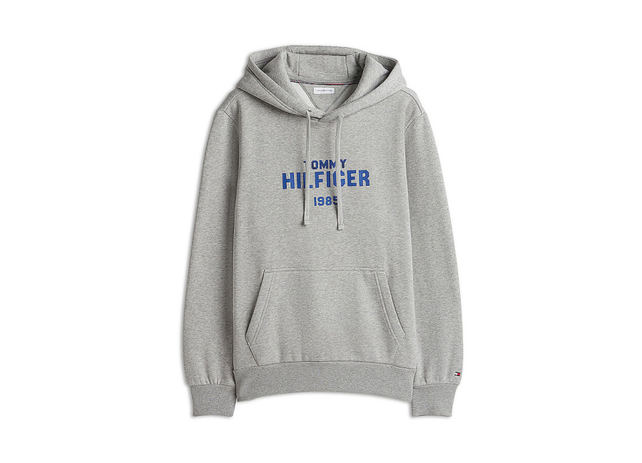 TOMMY HILFIGER Sudadera con capucha – Hoodie gris claro