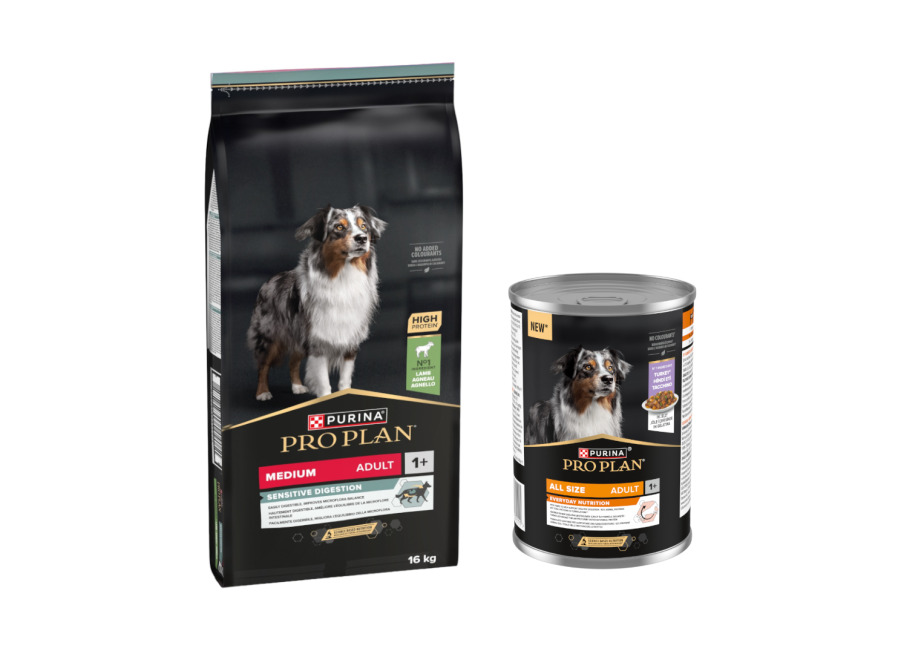 PURINA PRO PLAN 16 kg + All Size Everyday Nutrition 12 x 400 g ¡gratis! – Medium Adult cordero y arroz Sensitive Digestion + Pavo en gelatina