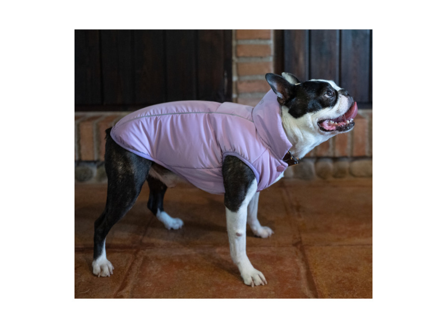 Freedog Abrigo Impermeable Winterhug Morado para perrro
